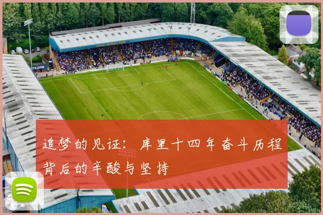 追梦的见证：库里十四年奋斗历程背后的辛酸与坚持